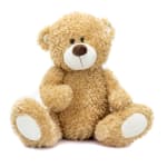 Plush teddy bear sitting upright on a white background