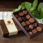 Open box of assorted milk and dark chocolates beside its closed lid on a wood surface