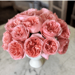 Bouquet of pink roses in a white vase