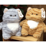 Kool Kitties