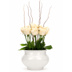 Blume Breeze