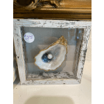 Oyster Shell Shadowbox