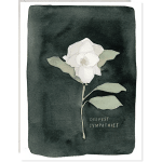 White flower on a dark sympathy card with the words "Deepest Sympathies"