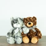 Two plush teddy bears sitting side by side, one gray and one brown