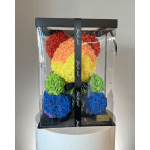 Rainbow teddy bear made of roses in a clear gift box