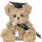 Teddy bear wearing a graduation cap and ribbon