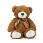 Brown teddy bear with a satin ribbon on a white background