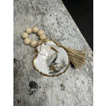 Pelican Shell