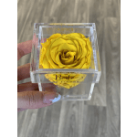 Yellow rose in a clear acrylic box