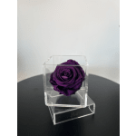 Petit Forever Boîte (Dark Purple)