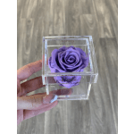 Single purple rose in a clear acrylic box