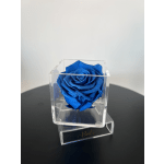 Petit Boîte (Dark Blue)