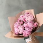 Pink Peony Cloud