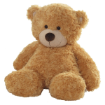 Plush teddy bear sitting on a white background
