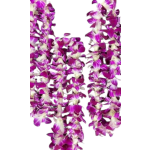 Purple and white orchid leis arranged on a white background