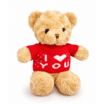 I Love You Teddy Bear 10 inch