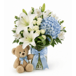 Baby Boy Big Hug Bouquet