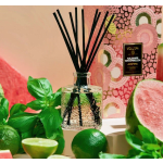 Glass reed diffuser with black sticks beside watermelon slices and green leaves