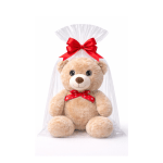 Beige teddy bear with red bow wrapped in a clear gift bag tied with a large red ribbon.