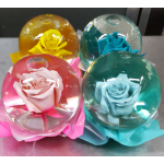 Four roses preserved in clear domes with colorful bases