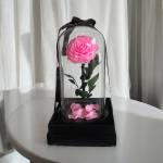 Single pink rose under a glass dome on a black base