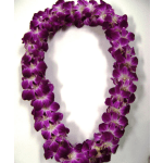 Graduation Lei