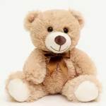 Light Brown Teddy