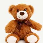 Brown Teddy