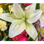 Single Stem Asiatic Lily Add ON