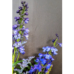 Single Stem Delphinium Add ON
