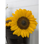Single Stem Sunflower Add ON