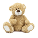 Plush teddy bear sitting against a white background