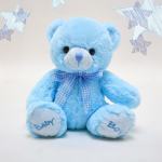 Plushie | Baby Boy Keepsake