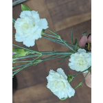 Mini Carnations Single Stem Add ON
