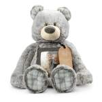 Gray plush teddy bear holding a photo frame and tag