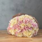 Blush & White Harmony