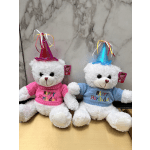 Two teddy bears in birthday hats and sweaters sit side by side
