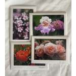 Four floral greeting cards with close-up flower photos