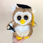 Plush owl wearing a graduation cap and holding a diploma