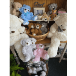 Assorted teddy bears displayed on shelves and in baskets