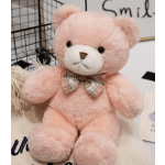 Pink plush teddy bear with a plaid bow tie