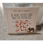 A novelty card with squirrel illustrations and a small squirrel pin