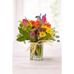 Many Thanks