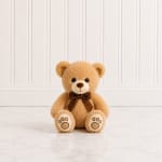 Small Teddy Bear