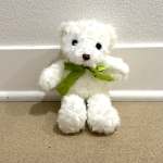 White teddy bear with a green ribbon bow