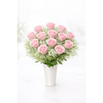 Jamie's Pink Lady Roses