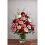Mixed carnations in a clear glass vase
