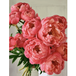 Single Peony Add on to your Bouquet