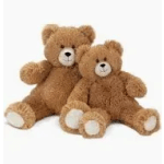 Two brown teddy bears sitting together on a white background