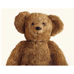 Plush - Large